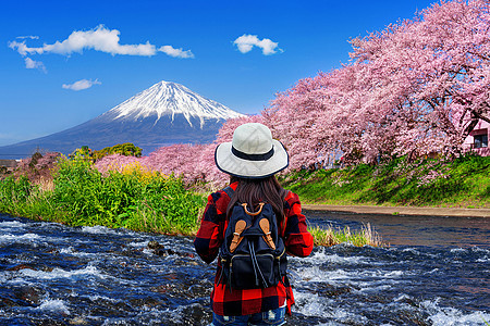 观光客看着日本静冈的樱花和fuji山图片