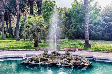 意大利罗马市中心美丽的古典喷泉城市首都公园粉色花园红色花朵树木绿色树叶图片