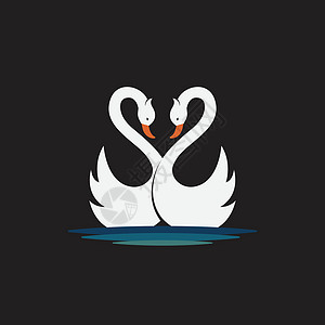 黑色背景下两只白天鹅设计的矢量 狂野心能图片