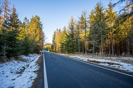 一条潮湿的道路 在欧洲的冬天 一场暴风雪甚至在柏油柏油路两旁的树上鲜艳的叶子上也留下了雪 简单的道路壁纸绿色旅行风景驾驶白色天气图片