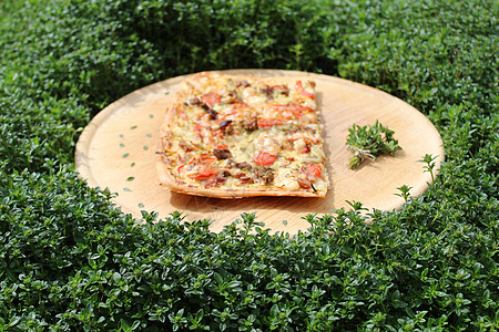 一块披萨 在百草枯田里的木板上花园特产胸腺草本植物草药叶子百里香美食植物香草图片