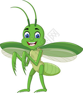 绿螳螂卡通图片