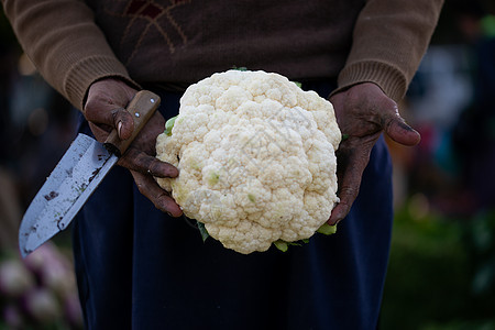 一个在蔬菜市场的男人 向顾客展示了花椰菜叶子健康饮食植物花园饮食食物烹饪杂货店营养菜花图片