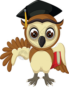 棕色猫头鹰戴着黑色毕业帽拿着红书卡通图片