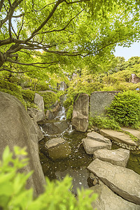 流进中央池塘的美次郎花园瀑布蓝色季节鸢尾花茶馆花园红叶太阳花瓣苔藓花头图片