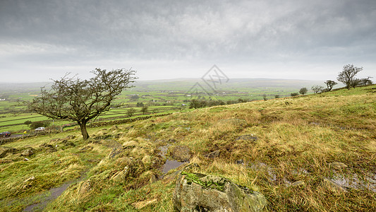 Slemish 希尔赛德 在高播日图片