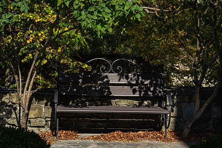 秋季公园的公园长椅木头卡片树叶下降森林全景旅行时间椅子天空图片