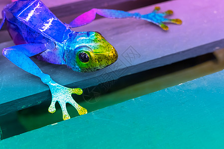 带复制空间的亮色有活力金属花园装饰青蛙数字两栖眼睛材料异国手工口音玩具装饰品市场图片