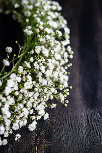 Gypsophila 惊慌的鲜花在新娘概念中卡片花束庆典兰花礼物女士问候语婚礼团体植物群图片