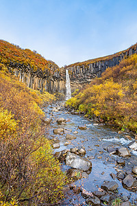 Svartifos 瀑布的瀑布 下秋彩色地貌之间黑色柱形横梁 形成河流图片
