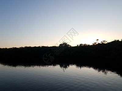 或有树木和天空的池塘水反射反光日落日出图片