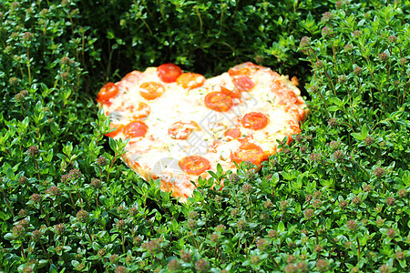 胸腺田中的心脏比萨饼草药香草香料植物百里香小吃生长美食母亲披萨图片