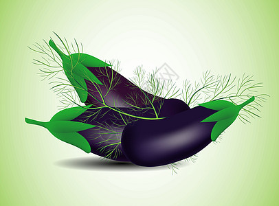 质朴的插图 素食晚餐 绿色农场 紫茄子 美味佳肴茄子紫色厨房收藏芳香营养饮食乡村小吃烹饪图片