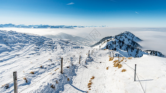 滑雪场地森林黎明高清图片