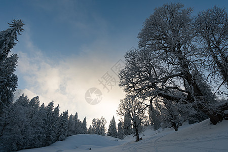 斯诺肖在阿拉高的霍赫格拉特巡演冰川滑雪全景公园农村天堂季节蓝色旅行太阳图片