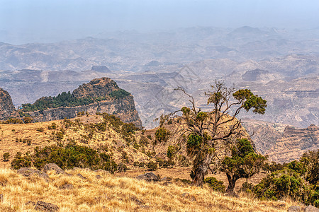 埃塞俄比亚 非洲Semien或Simien山探索编队旅游岩石荒野顶峰探险家高地地平线爬坡图片