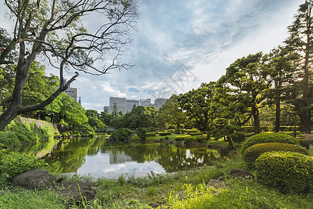 希比亚公园公共花园新二池建筑学办公楼景观意义摄影树木花园外墙文字商业图片