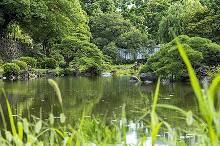 希比亚公园公共花园新二池水平建筑学城市旅行表意省会位置木头太阳景观图片