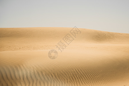 摩洛哥撒哈拉沙漠沙丘的震荡图片
