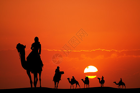 日落骆驼骑骆驼插图图片