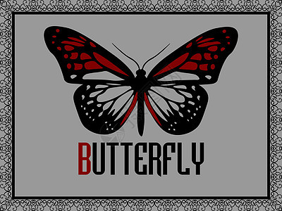 灰色背景上优雅框架中的红蝴蝶图片
