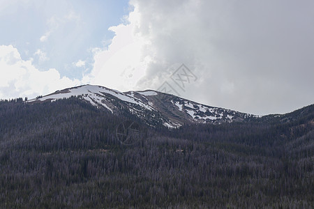 科罗拉多山上雪盖着一个标志图片
