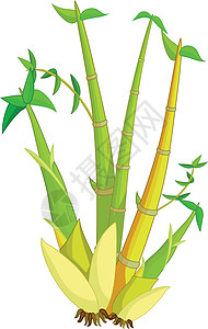 绿色黄色竹树卡通插图竹子快乐人物创造力卡通片吉祥物孩子们小孩木头图片
