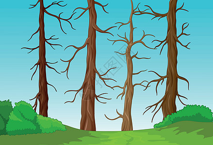 森林景观枯树和草地卡通片图片