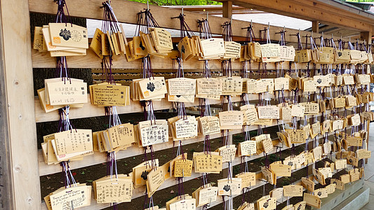 原宿的美治神社 托克约图片