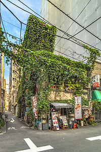 日本街景墙上布满了树叶和比尼奥尼亚斯花朵角喇叭火车站观光圣堂购物街水平餐厅摄影街道经济旅行背景