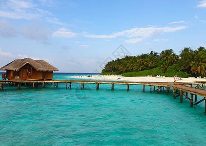 马尔代夫 海岸附近水面上的木屋捕食者海洋平房热带旅行鲨鱼蓝色珊瑚海滩动物图片