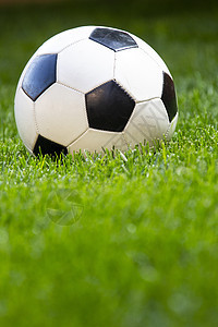 足球 绿草上的足球球皮革游戏团队圆形闲暇白色竞赛运动乐趣圆圈图片