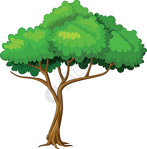 酷树卡通棕色雨林乐趣漫画植物木头吉祥物树叶丛林叶子图片