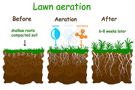 草坪曝气阶段插图 曝气前后绿化农业土壤充气养分说明服务园艺园丁通风图片