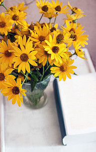 在一张厚厚的书旁边的桌子上摆着一朵黄色花瓶 “最起码的生活风格 自然性 复制空间”图片