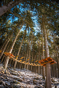 克尔科诺塞森林中的绳索公园 休闲 娱乐 肾上腺素运动 登山游乐设施 高空滑索 绳索滑雪板 在大自然中进行运动公园细绳高度团队童年图片