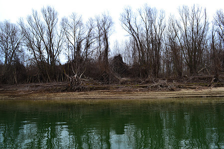 绑匪的渔网在海岸2号附近的树枝上隐蔽地伸展图片