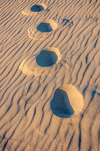 在阿尔卡钦盆地的沙丘上晒太阳长椅旅行日落全景旅游海滩太阳沙漠假期背景图片