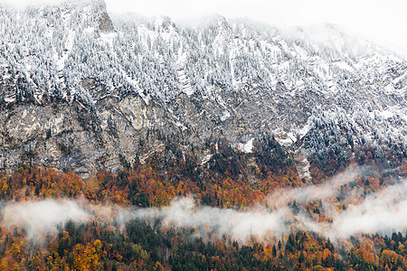 在瑞士因特拉肯的秋天 雪盖山薄雾天线森林季节丛林高山气候风景旅游天气图片