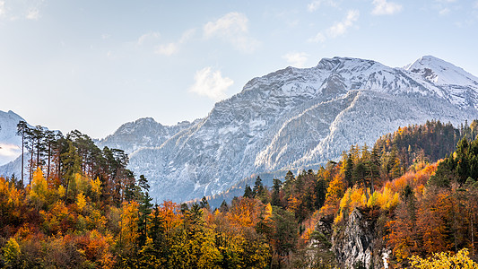 在瑞士因特拉肯的秋天 雪盖山高山天线薄雾森林风景天气公园爬坡季节丛林背景图片