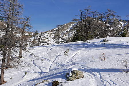 冬季高阿尔卑斯山的蒙金维尔雪雪地旅游山脉滑雪游戏太阳松树村庄小木屋假期雪人图片