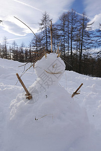 冬季高阿尔卑斯山的蒙金维尔雪雪地缆车全景山脉松树游戏村庄白色小木屋滑雪首脑图片