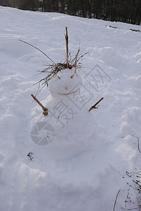 冬季高阿尔卑斯山的蒙金维尔雪雪地太阳白色全景松树滑雪假期山脉小木屋首脑旅游图片