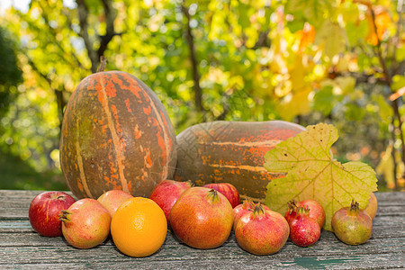秋秋水果食物叶子南瓜太阳生物橙子坚果奇异果花园收成图片