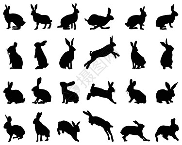 兔子的剪影图片