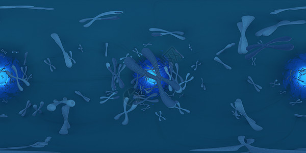 染色体科学背景的 3d 插图 等距柱状 360 VR 图像 医学全景背景长方形微生物学虚拟现实宏观显微镜身体生物学医疗细胞药品图片
