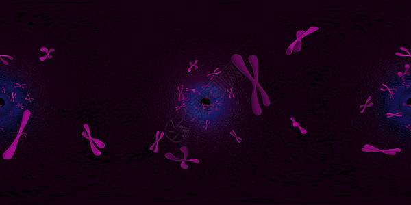 染色体科学背景的 3d 插图 等距柱状 360 VR 图像 医学全景背景虚拟现实流动医疗显微镜身体宏观渲染折纸生物学印迹图片