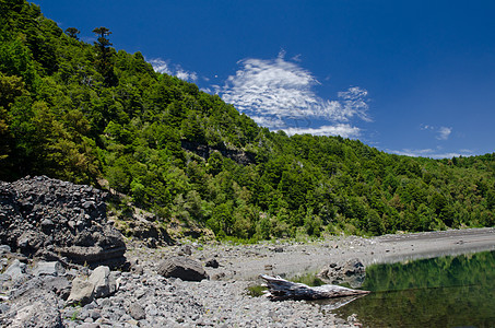 Conguillio国家公园的Conguillio湖图片