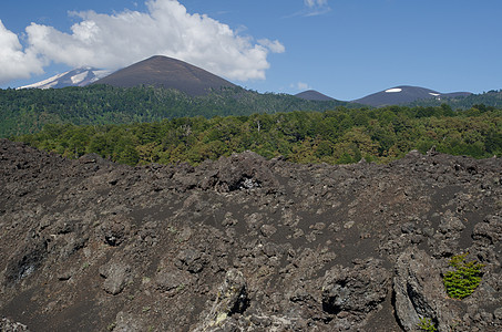 坚固的熔岩 森林和被云覆盖的Llaima火山面积林地丘陵山峰地质学山脉场景风景木头顶峰坐骑图片