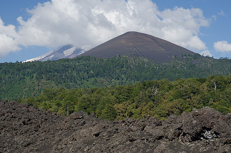 坚固的熔岩 森林和被云覆盖的Llaima火山面积丘陵顶峰爬坡荒野风景林地山峰场景岩石地质学图片